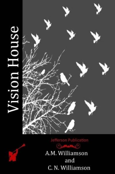 Cover for C N Williamson · Vision House (Paperback Bog) (2016)