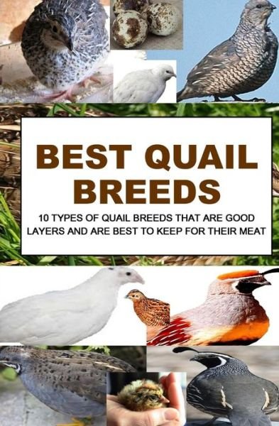 Cover for F Otieno · Best Quail Breeds (Paperback Book) (2016)