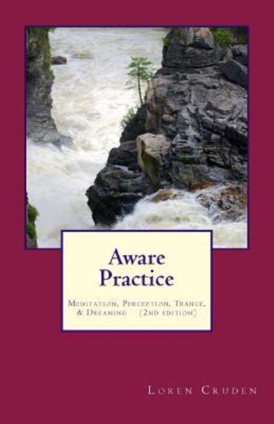 Cover for Loren Cruden · Aware Practice (Paperback Book) (2016)