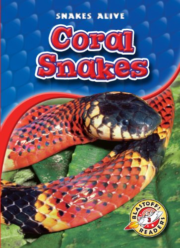 Cover for Colleen Sexton · Coral Snakes (Blastoff! Readers: Snakes Alive) (Blastoff! Readers: Snakes Alive: Level 3) (Hardcover Book) (2010)