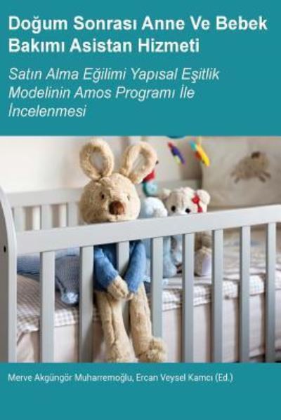 Dogum Sonrasi Anne Ve Bebek Bakimi Asistan Hizmeti - Merve Akgungor Muharremoglu - Książki - Glimmer Publishing - 9781789020168 - 17 stycznia 2018