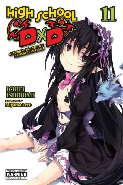 Cover for Ichiei Ishibumi · High School DxD, Vol. 11 (light novel) (Paperback Bog) (2023)