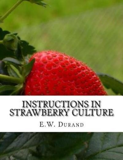 Cover for E W Durand · Instructions in Strawberry Culture (Paperback Bog) (2017)