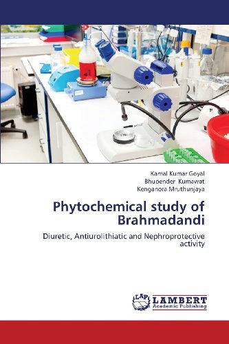 Cover for Kenganora Mruthunjaya · Phytochemical Study of Brahmadandi: Diuretic, Antiurolithiatic and Nephroprotective Activity (Paperback Book) (2013)