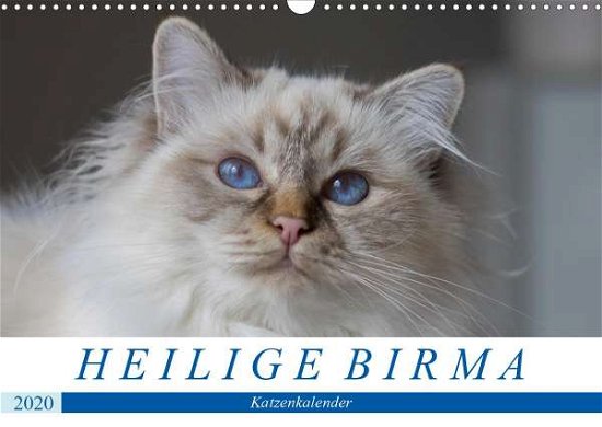 Cover for Münch · Heilige Birma Katzenkalender (Wan (Book)