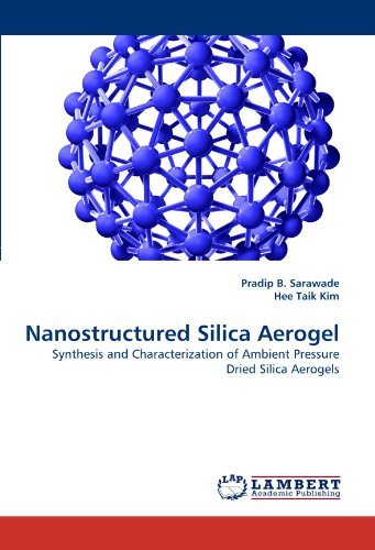 Cover for Hee Taik Kim · Nanostructured Silica Aerogel: Synthesis and Characterization of Ambient Pressure Dried Silica Aerogels (Pocketbok) (2011)