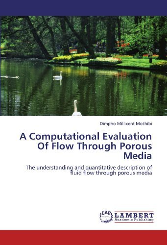 Cover for Dimpho Millicent Mothibi · A Computational Evaluation of Flow Through Porous Media: the Understanding and Quantitative Description of Fluid Flow Through Porous Media (Taschenbuch) (2011)