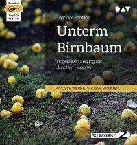 Cover for Fontane · Unterm Birnbaum,MP3-CD (Book)