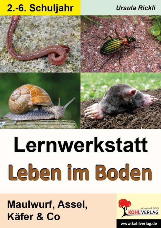 Cover for Rickli · Lernwerkstatt Leben im Boden (Bok)