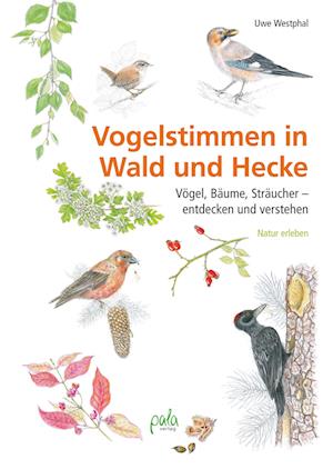 Cover for Uwe Westphal · Vogelstimmen in Wald und Hecke (Hardcover Book) (2022)