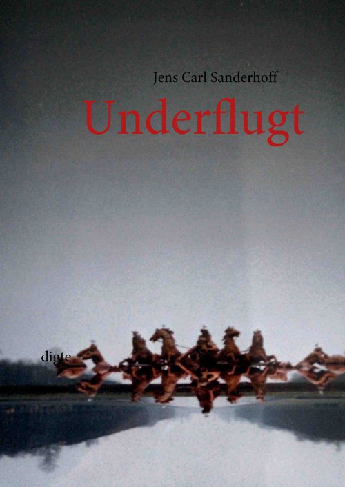Cover for Jens Carl Sanderhoff · Underflugt (Hardcover Book) [1. Painos] [Hardback] (2008)