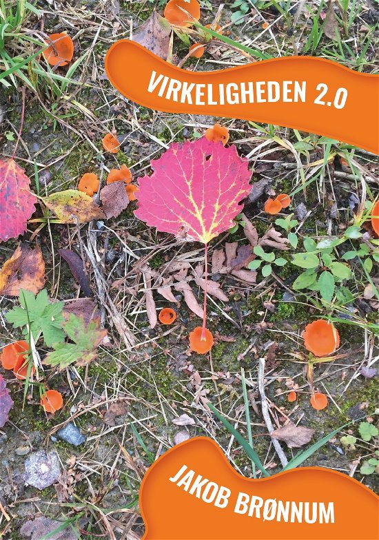 Cover for Jakob Brønnum · Virkeligheden 2.0 (Taschenbuch) [1. Ausgabe] (2019)