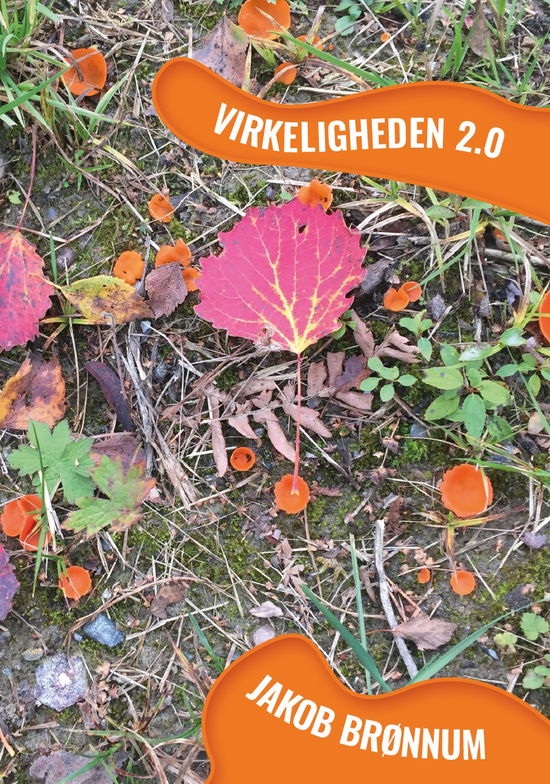 Virkeligheden 2.0 - Jakob Brønnum - Bøker - Det Poetiske Bureaus Forlag - 9788793871168 - 15. november 2019