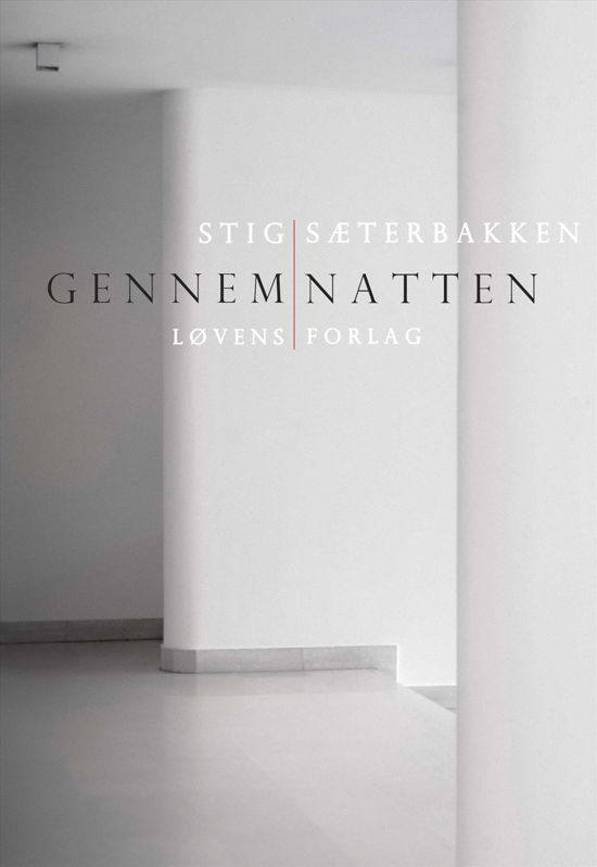 Cover for Stig Sæterbakken · Gennem natten (Sewn Spine Book) [1e uitgave] (2015)