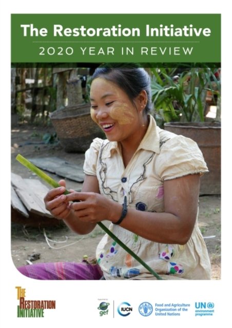 Cover for Food and Agriculture Organization · The Restoration Initiative: 2020 year in review (Paperback Book) (2022)