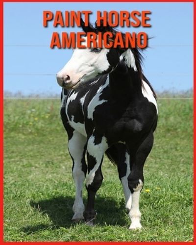 Cover for Alicia Moore · Paint Horse Americano: Foto stupende e fatti divertenti Libro sui Paint Horse Americano per bambini (Paperback Book) (2021)