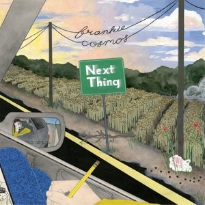 Cover for Frankie Cosmos · Next Thing (LP) (2016)