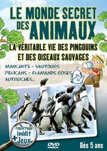 Cover for La Vie Des Pingouins Et Oiseaux Sau (DVD) (2018)