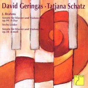 Cover for J. Brahms · Werke Fuer Cello &amp; Klavie (CD) (2012)