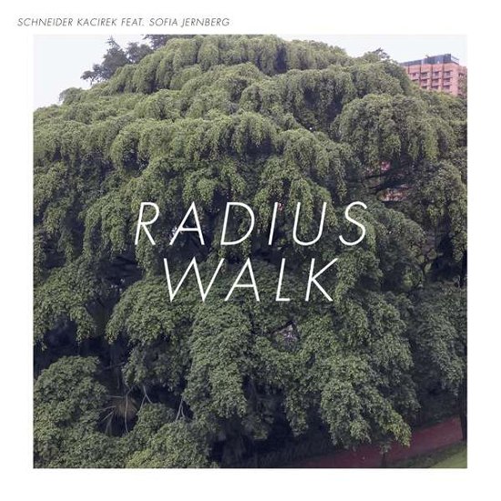 Radius Walk - Schneider / Kacirek - Music - BUREAU B - 4015698010169 - July 13, 2017
