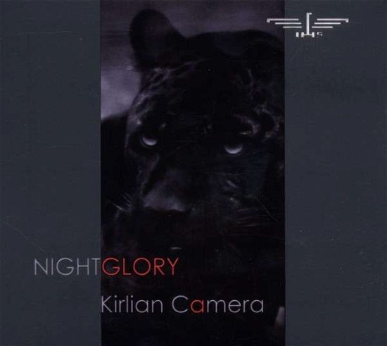 Nightglory - Kirlian Camera - Music - OUT OF LINE - 4260158835169 - November 7, 2011