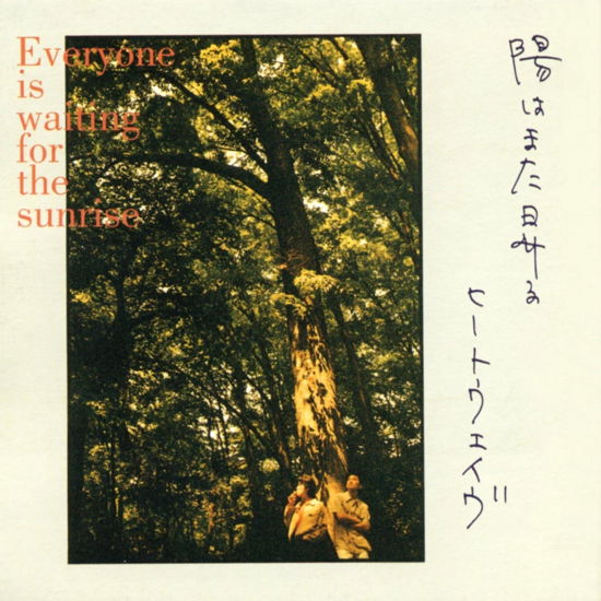 Cover for Heatwave · Everyone Is Waiting For The Sunrise (LP) [Japan Import edition] (2023)