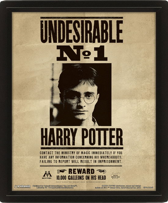 Cover for Harry Potter · Harry Potter (Harry &amp; Sirius) Framed 10 x 8&quot; 3D Lenticular Poster (Framed) (Pocketbok) (2024)