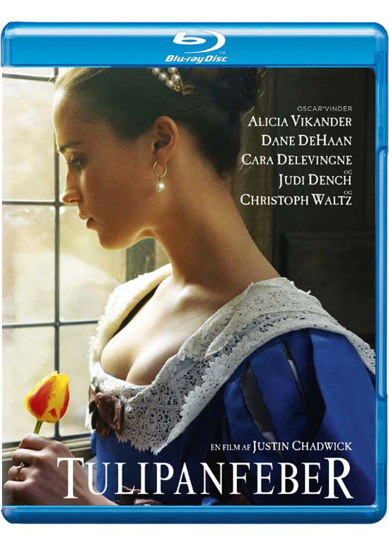 Cover for Alicia Vikander / Dane DeHaan / Judi Dench / Christoph Waltz · Tulip Fever (Blu-ray) (2017)