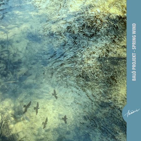 Cover for Baló Projekt · Spring Wind (CD)