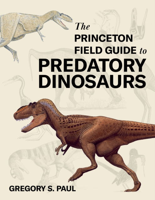 Gregory S. Paul · The Princeton Field Guide to Predatory Dinosaurs - Princeton Field Guides (Hardcover Book) (2024)