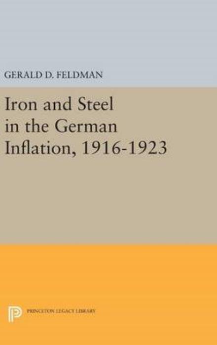 Cover for Gerald D. Feldman · Iron and Steel in the German Inflation, 1916-1923 - Princeton Legacy Library (Hardcover Book) (2016)