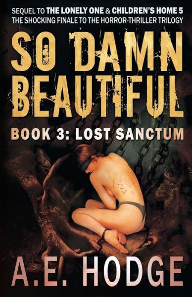 Cover for A E Hodge · So Damn Beautiful: Lost Sanctum (Paperback Book) (2015)