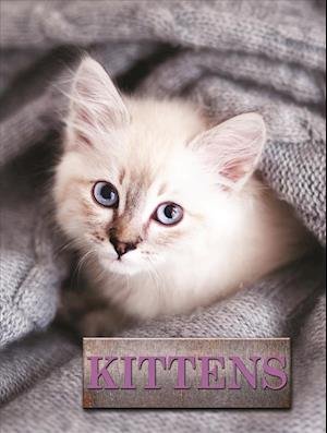 Cover for Marcus Schneck · Kittens - Pet Library (Innbunden bok) (2019)