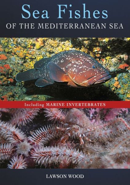 Cover for Lawson Wood · Sea Fishes Of The Mediterranean Including Marine Invertebrates (Paperback Book) (2019)