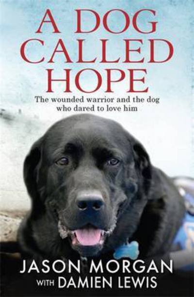 Cover for Damien Lewis · A Dog Called Hope: The wounded warrior and the dog who dared to love him (Paperback Book) (2017)