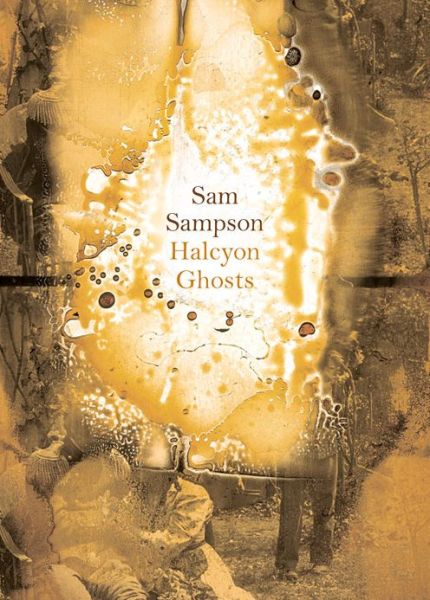 Cover for Sam Sampson · Halcyon Ghosts: Paperback (Paperback Book) (2014)