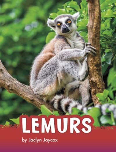 Cover for Jaclyn Jaycox · Lemurs (Hardcover Book) (2020)