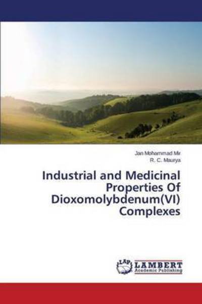 Cover for Mir Jan Mohammad · Industrial and Medicinal Properties of Dioxomolybdenum (Vi) Complexes (Paperback Bog) (2015)