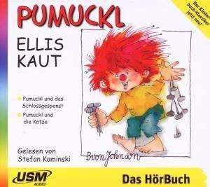 Cover for Pumuckl · Vol. 7 Pumuckl und das Schlossgespenst / Pumuckl und die Katze (CD)