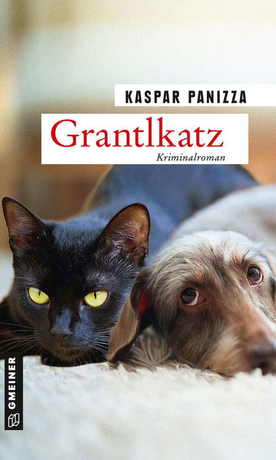 Cover for Panizza · Grantlkatz (Book)