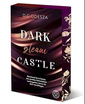 Cover for D.C. Odesza · DARK gleam CASTLE (Book) (2023)