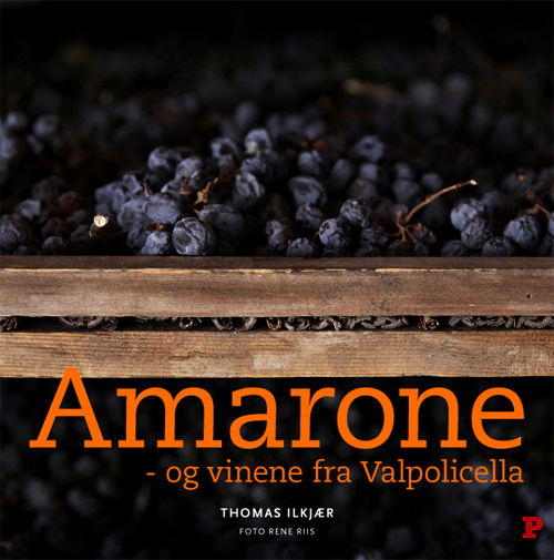 Cover for Thomas Ilkjær · Amarone - og vinene fra Valpolicella (Bound Book) [1st edition] [Indbundet] (2010)