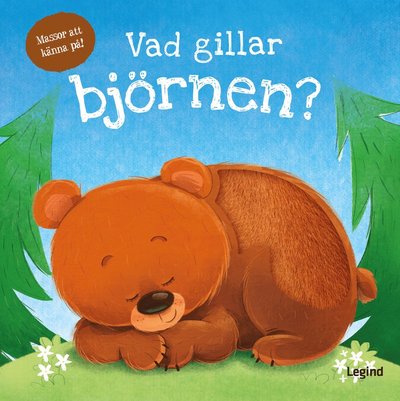 Cover for Daniel Mills · Vad gillar björnen (läs och känn) (Book) (2024)