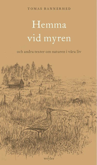 Cover for Tomas Bannerhed · Hemma vid myren : och andra texter om naturen i våra liv (ePUB) (2023)