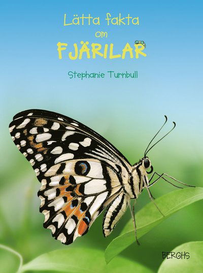 Lätta fakta: Lätta fakta om fjärilar - Stephanie Turnbull - Books - Berghs - 9789150218169 - September 6, 2010