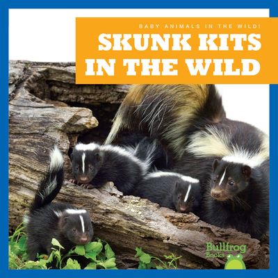 Skunk Kits in the Wild - Chanez - Books - Jump! Incorporated - 9798885244169 - August 1, 2023