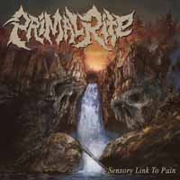 Cover for Primal Rite · Sensory Link to Pain (7&quot;) (2017)