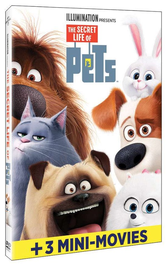 Cover for Secret Life of Pets · Secret Life Of Pets (USA Import) (DVD) (2017)