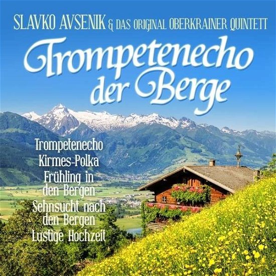 Trompetenecho Der Berge - Slavko Avsenik - Musikk - ZYX - 0090204647170 - 19. desember 2013
