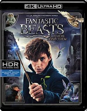 Cover for Fantastic Beasts &amp; Where to Find Them (4K Ultra HD) (2017)